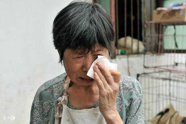 婆婆进城给我做一桌子好吃的饭菜，她一开口说话，我直接掀翻桌子