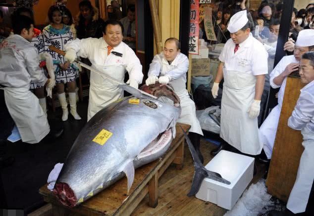 日本这种“高级”美食，中国人看到就吐了，网友：生猛的国家！