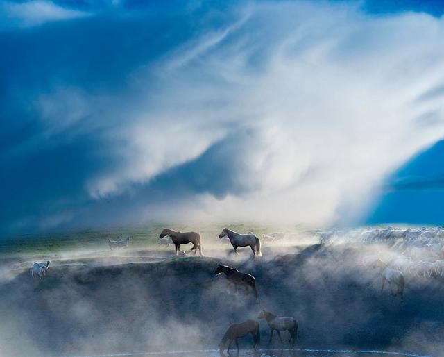 7月走进坝上、走进草原、走进盛夏的乌兰布统！