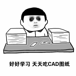 CAD文件缺少显示SHX图纸?原来是忘了放入这cad装饰灯图片