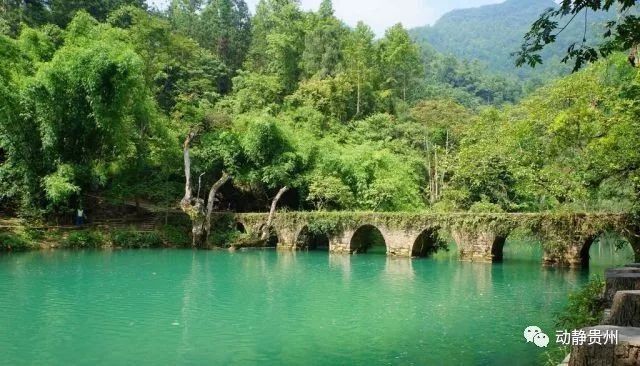 正在公示!贵州这17县候选全国百佳，快来为你家乡投票点赞!