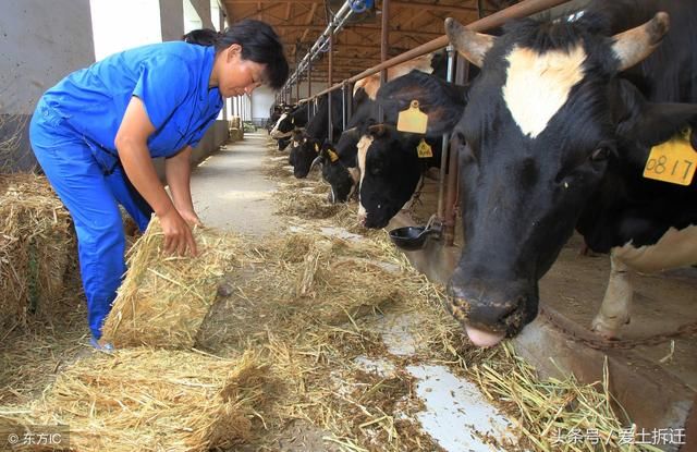 2018年多地开启新一轮“禁养”，养殖场拆迁补偿怎么算？