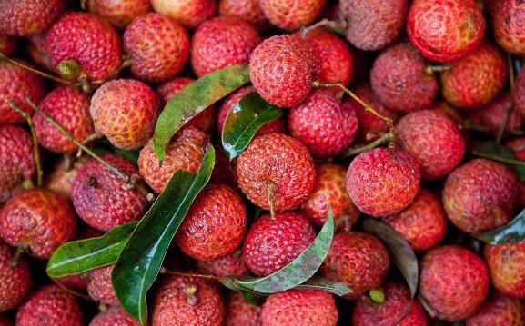 夏日炎炎 吃荔枝 对身体有哪些益处呢?