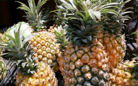 菠萝头在水里泡一周,有这样的功效