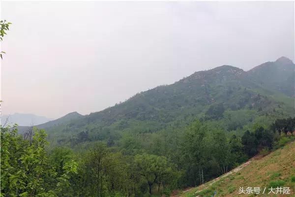 井陉好去处！健步如飞登祖山！“走四方杯”职工健步活动圆满成功