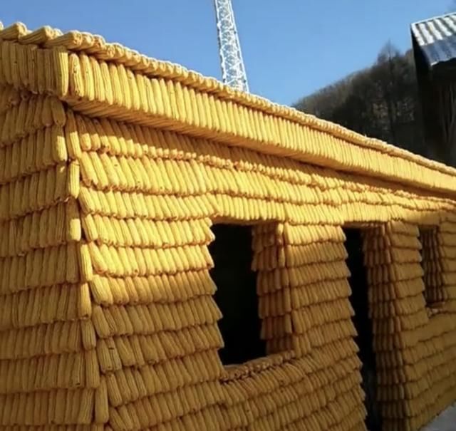 农民用了9999根玉米棒,搭建了一个黄灿灿的金