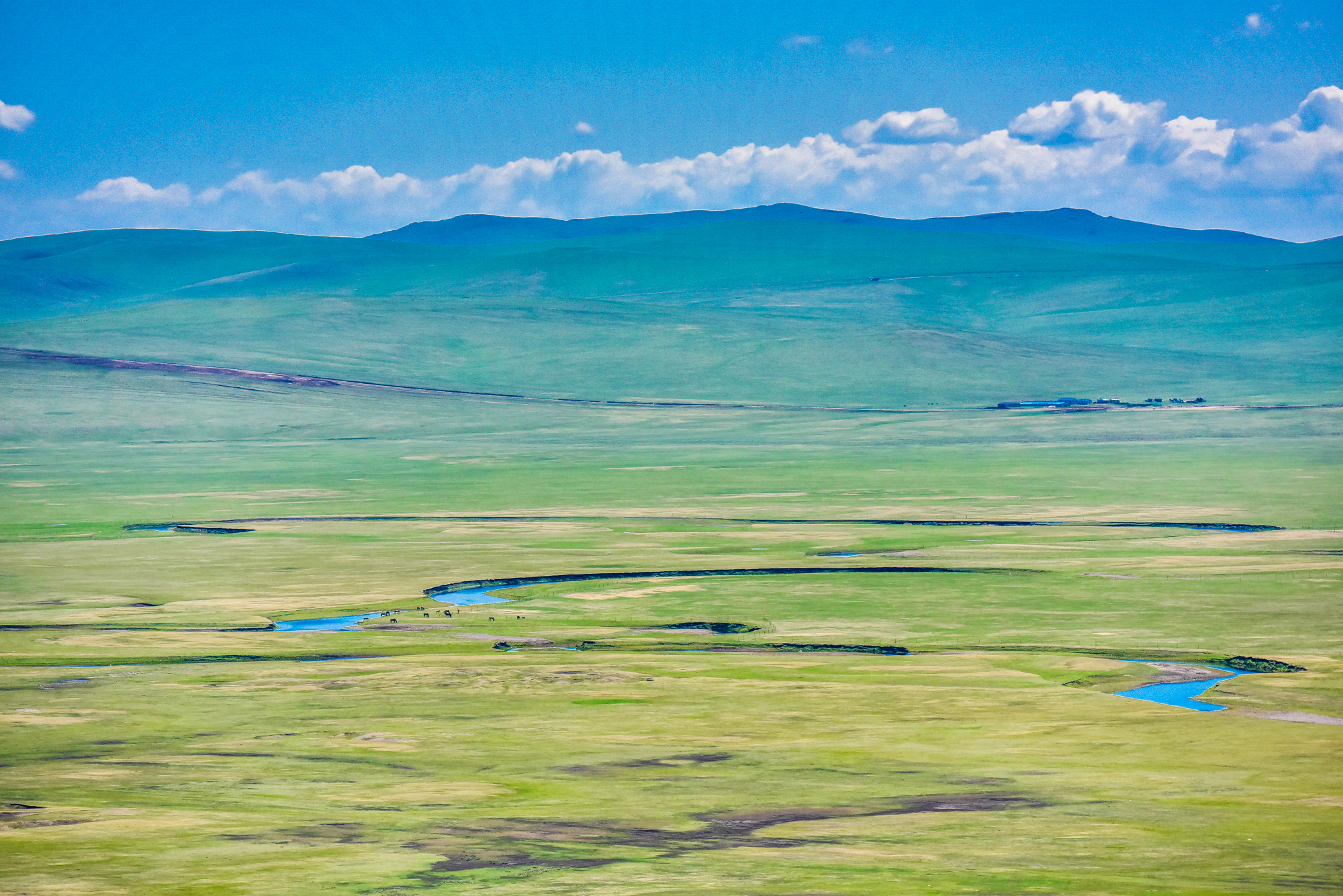 呼伦贝尔排名_呼伦贝尔大草原图片(2)