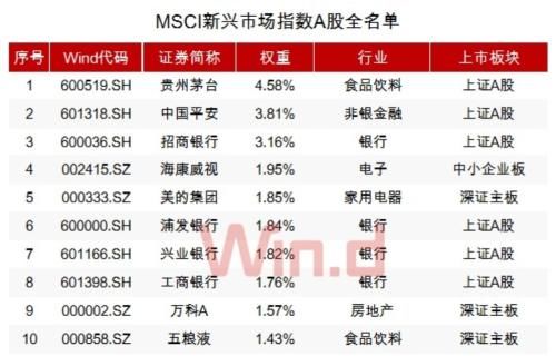 大树：首批纳入MSCI名单公布 受益最大的股票是...