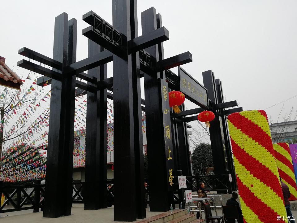 参观牛碾坪万亩观光茶