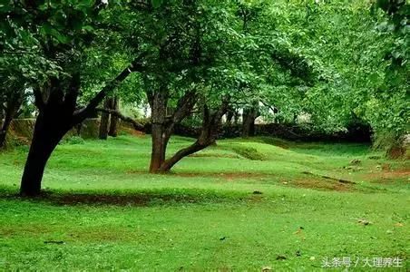 彩色大理，魅力洱源走进诗情画意的洱海之源