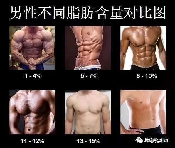 问答集合 | 如何计算体脂率?减肥每天摄入多少