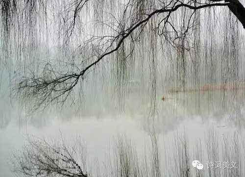 诗人对雨的描写永远都是那么美，下雨天读着这些诗句你能想到什么