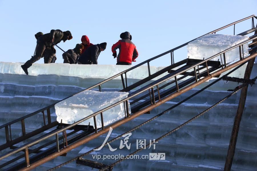 辽宁东港:贮冰最佳季 渔民贮冰忙