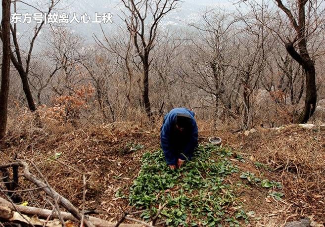 男子女友被抢走，上山练功报仇，30年后变成这样