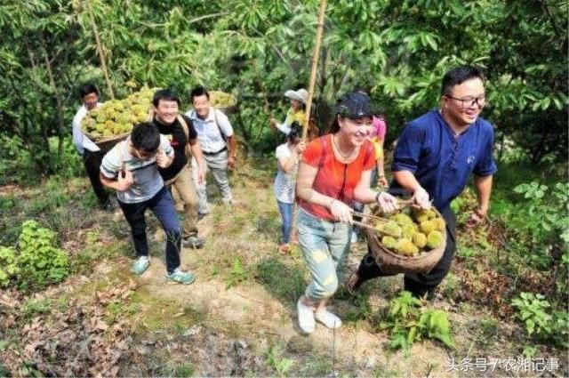 农民半山腰搭建凉亭，在凉亭里加点东西，就能日入1000元