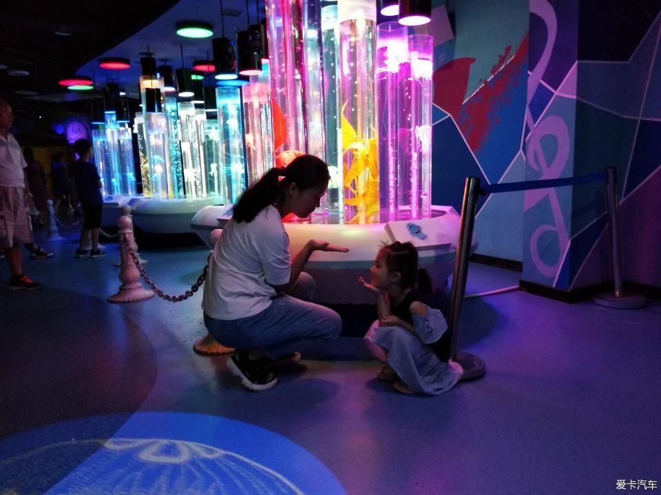 天津海昌极地海洋馆一日游