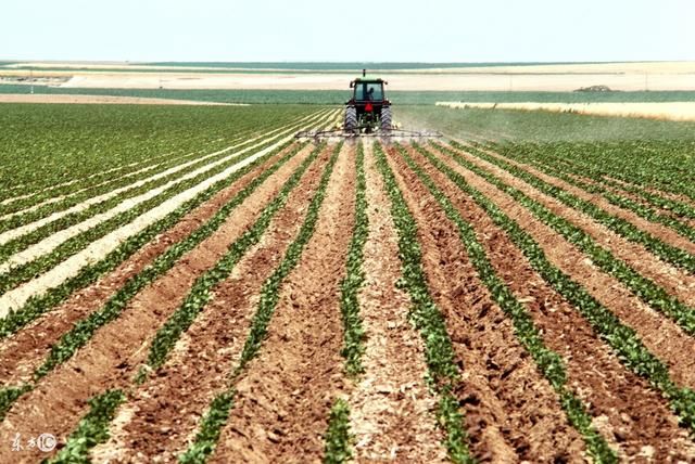 该国面积在世界排名129位,却做成了农业出口第
