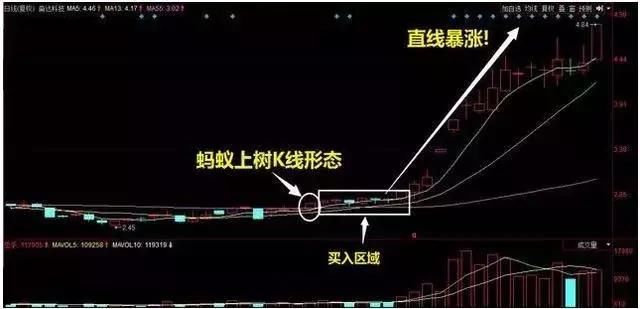一旦出现“蚂蚁上树”形态,马上满仓介入,涨停板手到擒来!