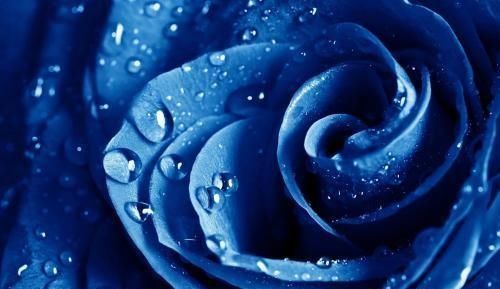 林家成小说推荐,《无盐妖娆》、《越姬》非常