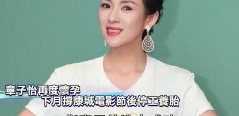 港媒曝章子怡成功怀二胎,将在下个月停工待产