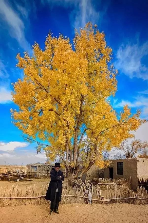 它是中国最难到达的古村落，大漠深处的桃花源，400多年不为人知!