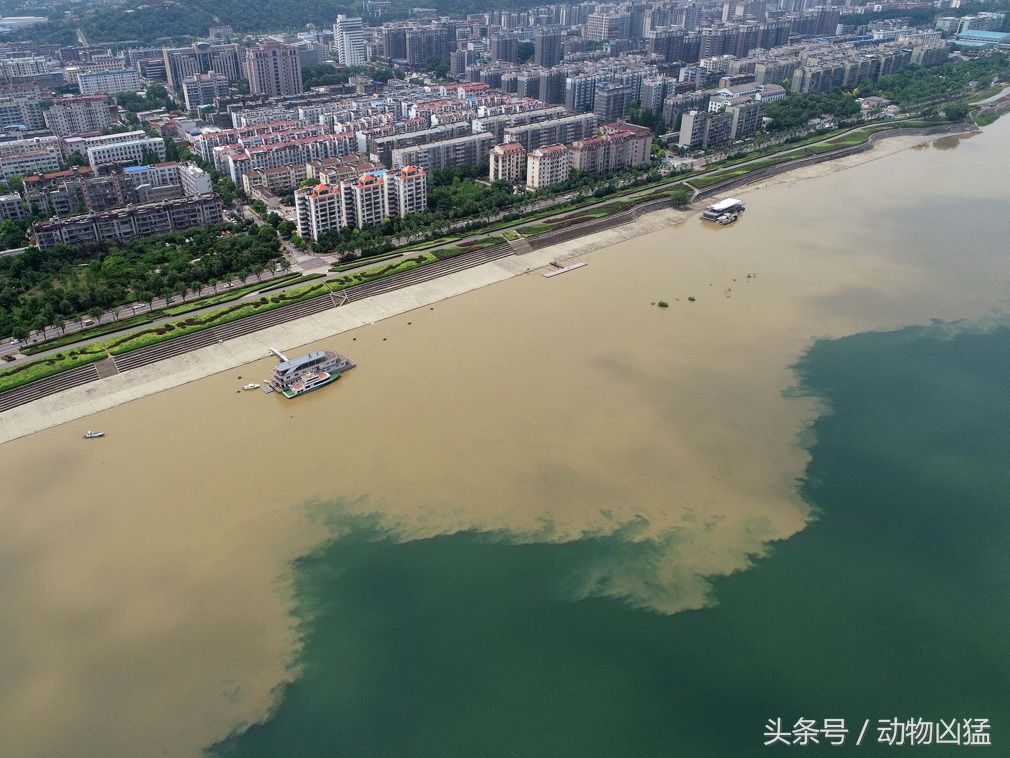 暴雨过后中国汉江现奇观