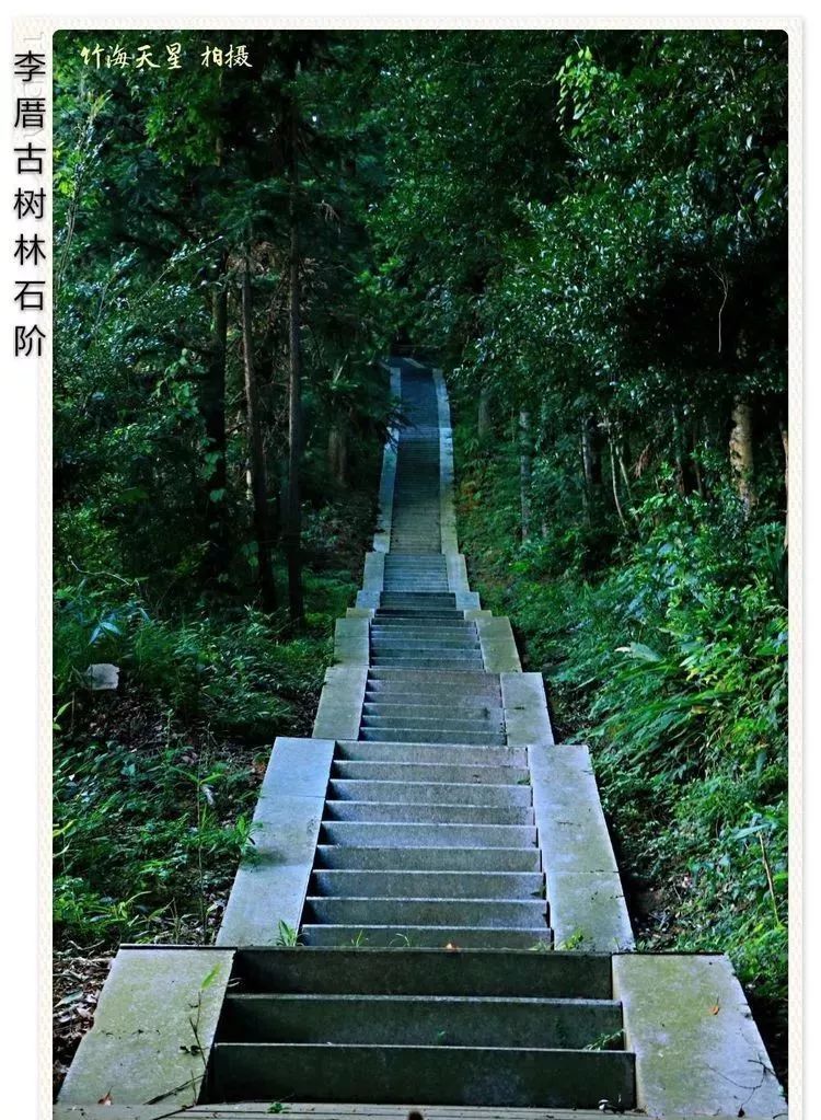 油竹人口数_人口普查(3)