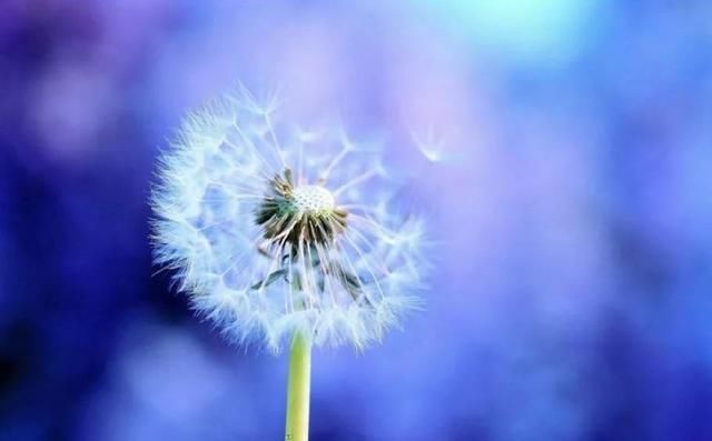 好句子优美句子