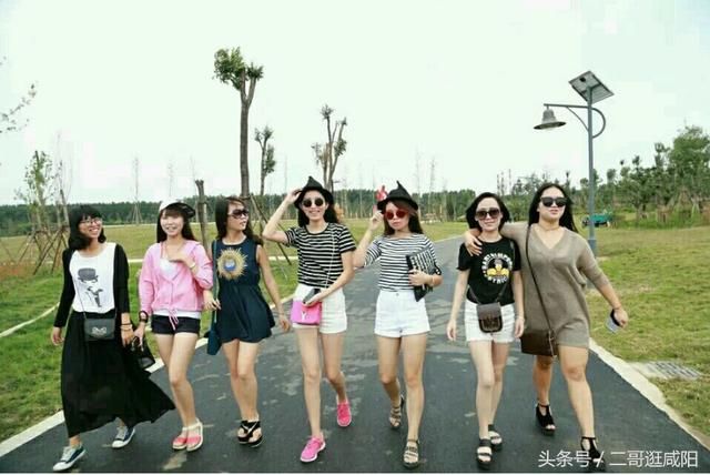 因抖音而火的4首歌曲,每首都很好听,第一首已