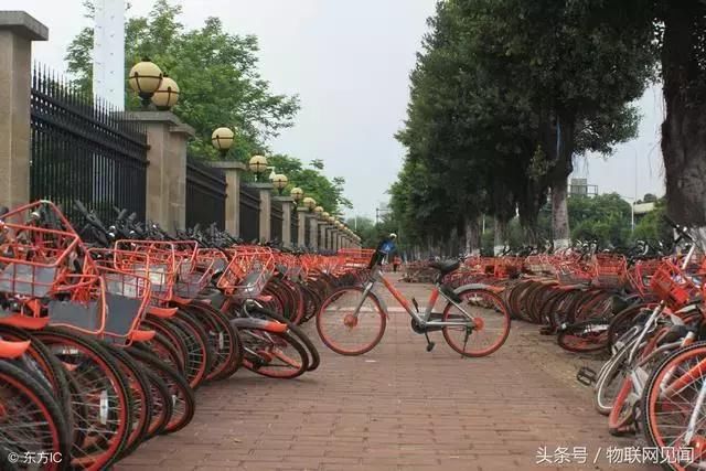 一场荒诞百出的 区块链 传销大会 丰田召回缺陷