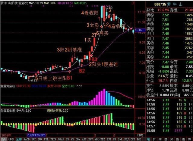 中国股市值得一辈子牢记的16个字，看懂的没一个是穷人！