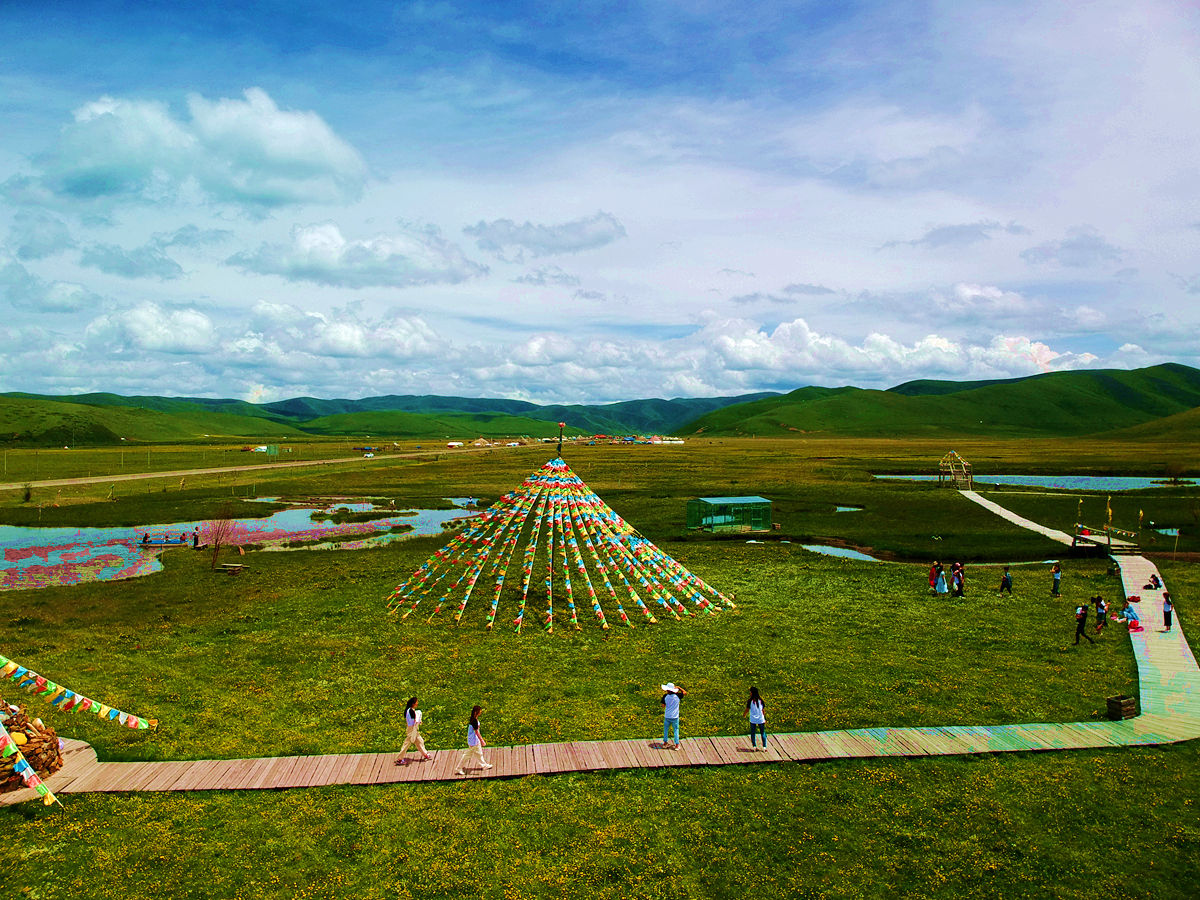 尽管近日四川天气不好 但阿坝若尔盖草原仍是