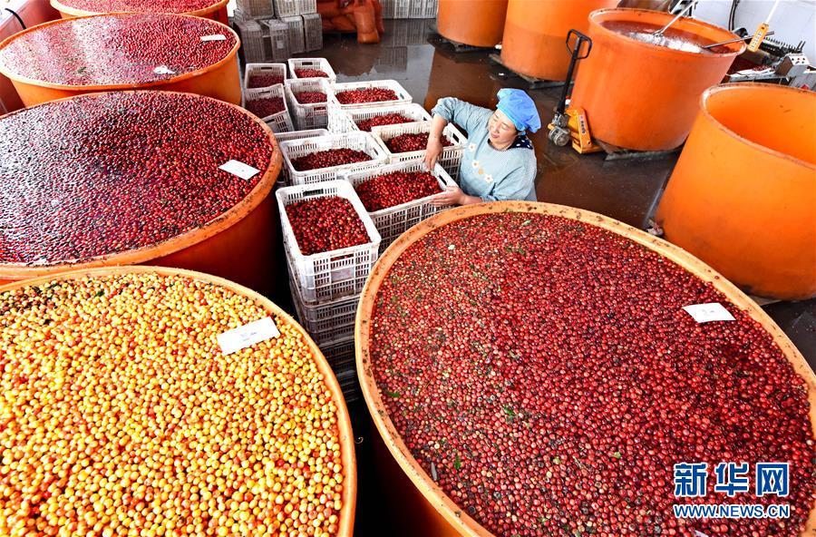 山东沂源: 特色+ 助推新型农业发展_【快资讯】