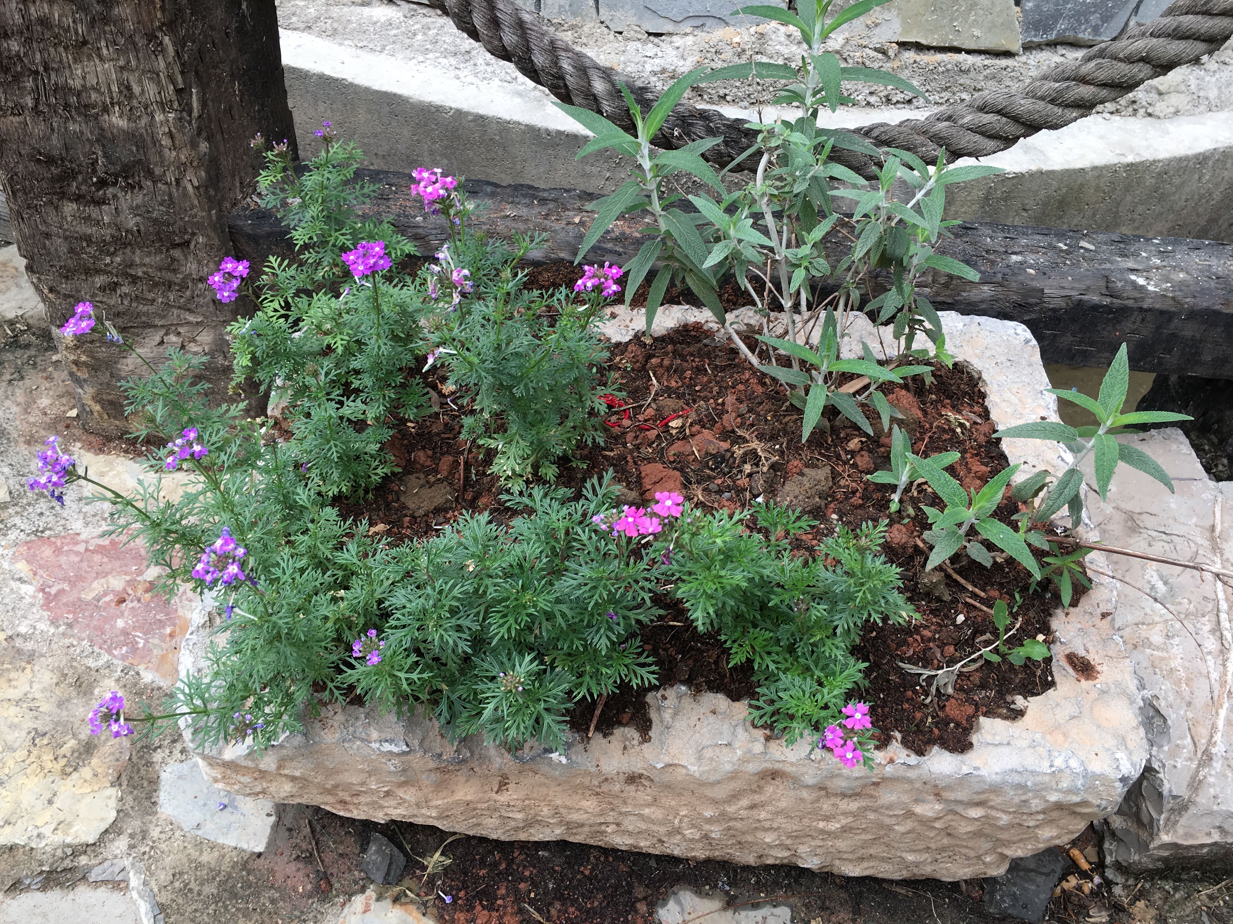 贵阳周边休闲一日游推荐--惠水好花红镇