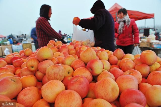 苹果期货再创新高 炒得越凶价值越少!