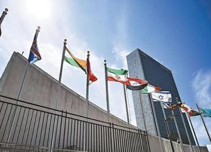 世界这奇葩国家,提出过废除联合国五常,结果却