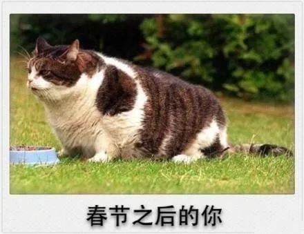 你的剩余假期被雨水承包了!还有一件扎心的事……