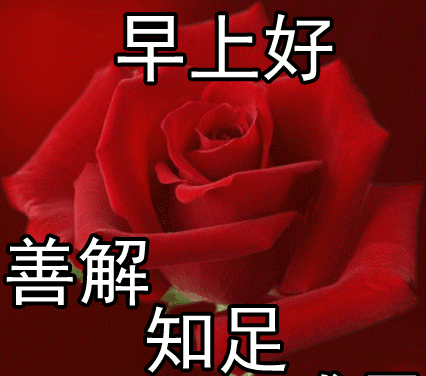 最新早上好表情图片早上好动态表情小黄鸭动态包动态emoji图片