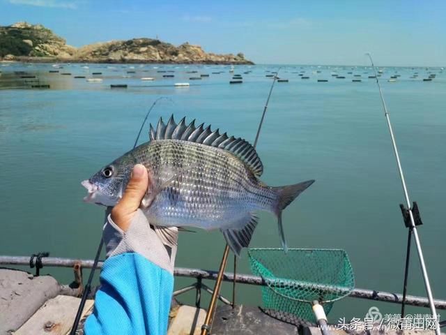 莆田南日岛美翻了,小岛上这么多好吃好玩的地