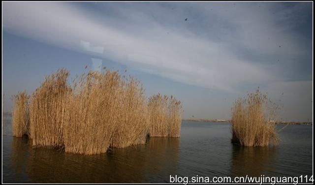 实拍:冬季到宁夏看沙湖奇景