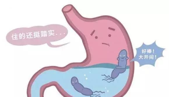 感染幽门螺旋杆菌胃炎