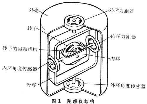 生活中令人讨厌的飞行高手，在科学家眼里居然是个宝?