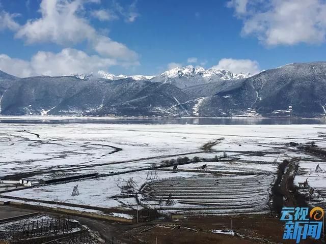 一边花开 一边下雪 云南现轿子雪山观“雪中花”雾凇奇景