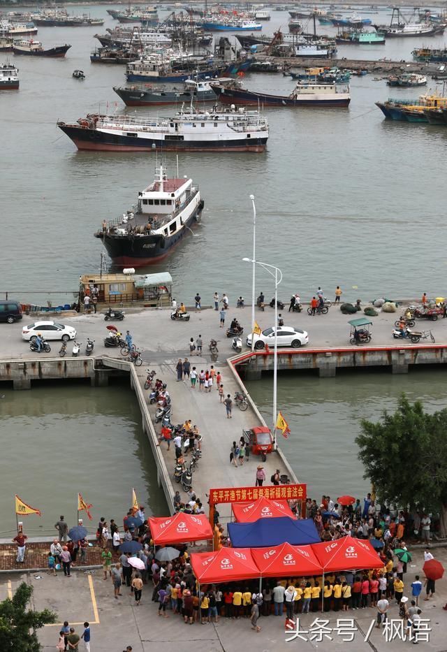 广东阳江东平渔港伏季开渔好特别 不请大媒体