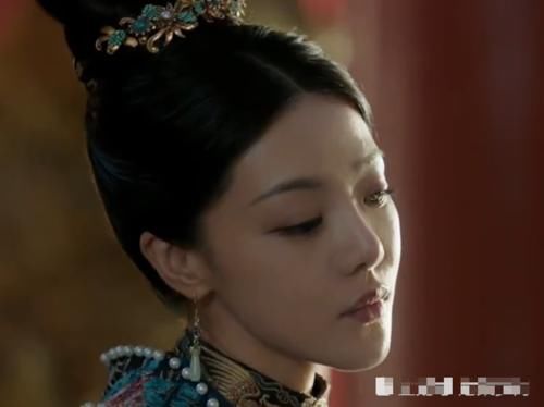 大明风华胡善祥儿子