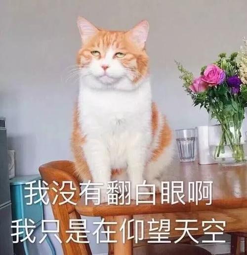 2018年度表情大赏!看完够我笑一年的.哈哈哈小可爱民国表情图片