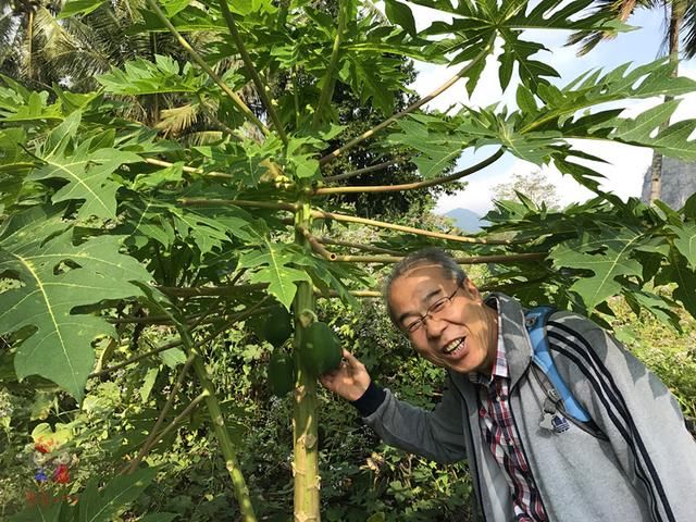 别再只盯着三亚了！海南还有随便捡鱼的海滩和野果满树的古村！