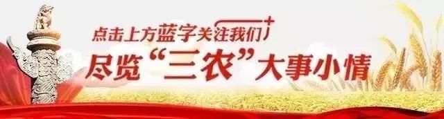 女村干部好不好当？这些小故事意味深长......