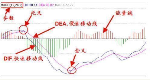 中国股市最牛的人：炒股一定要看一个指标，看懂就能一招抓涨停！