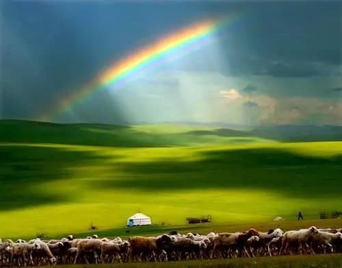 最后一片净土呼伦贝尔大草原，那里有清新的空气